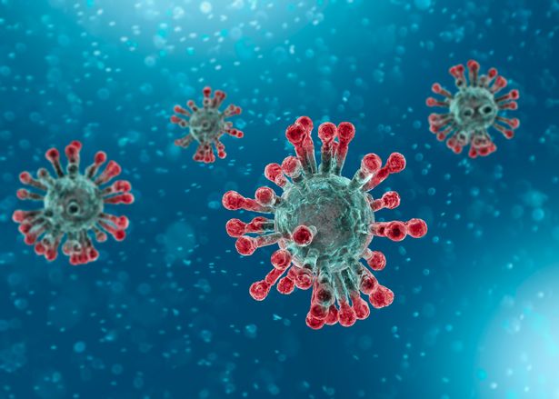 Coronavírus: pessoas que pegam Covid-19 são 'altamente improváveis ​​de pegá-lo novamente em 6 meses'