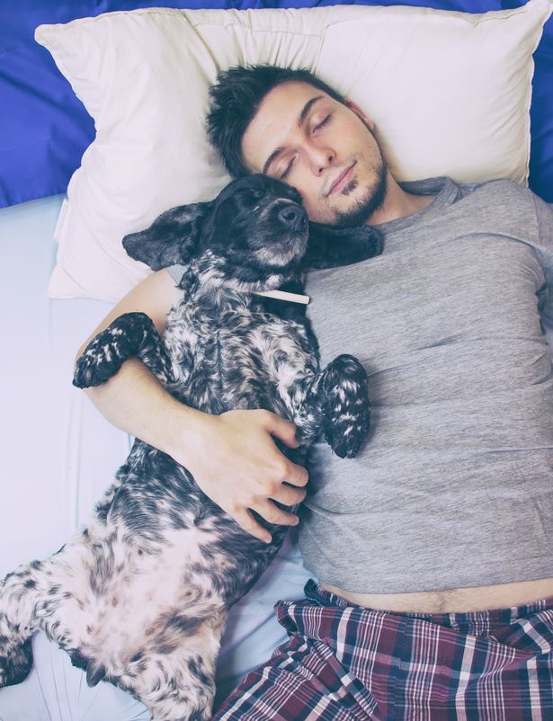 Vista de alto ângulo de homem adulto de idade mediana com cachorro dormindo na cama em casa