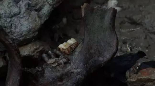 Ilha assustadora do Deadman no Reino Unido, cheia de restos humanos
