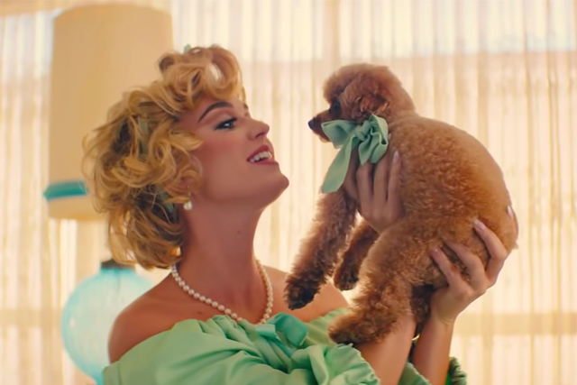 Katy Perry inicia um debate depois de dizer que ela e seu cachorro estão se tornando veganos